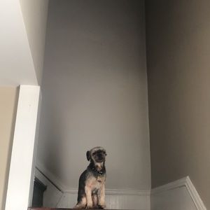 Meet your Posher, Alana